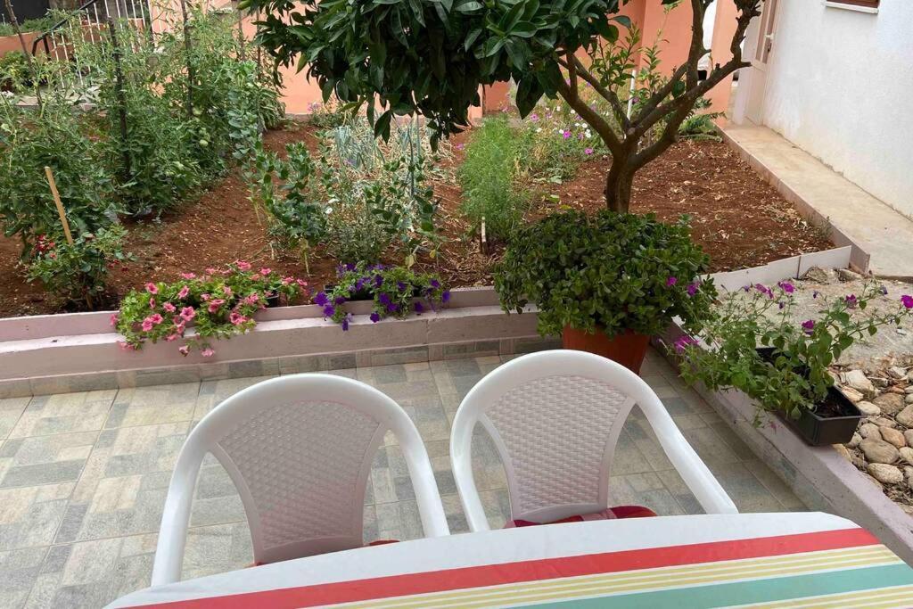 Appartement Manuel à Korčula Extérieur photo